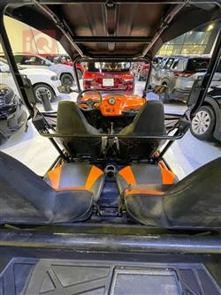 Polaris RZR